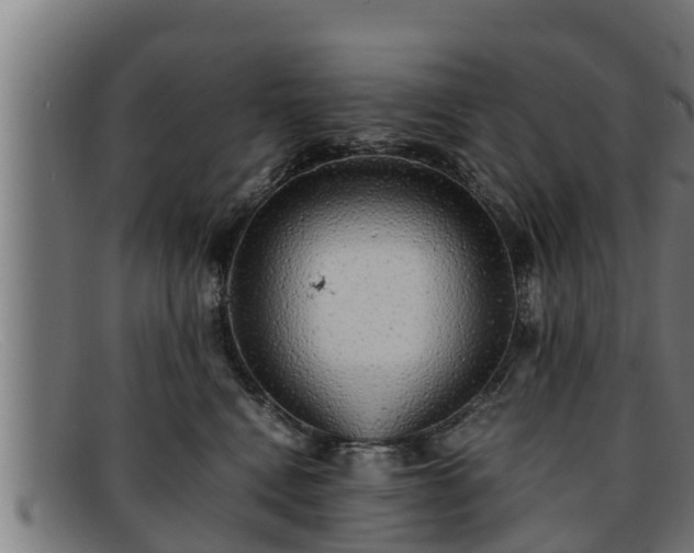 X0000091860472200709121333