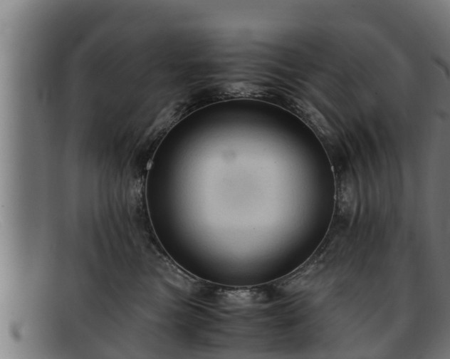 X0000091860473200709121333