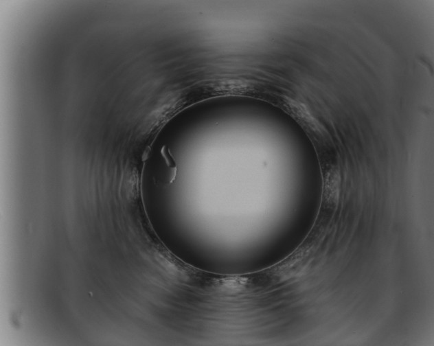 X0000091860474200709121333