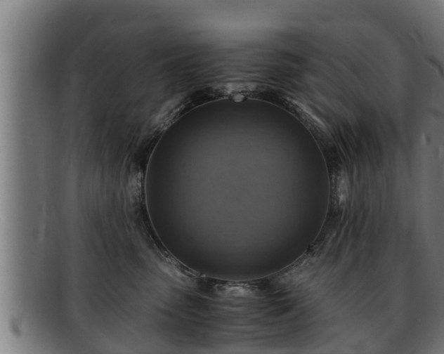 X0000091860475200709121333