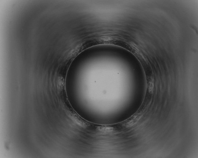 X0000091860476200709121333