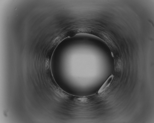 X0000091860478200709121333