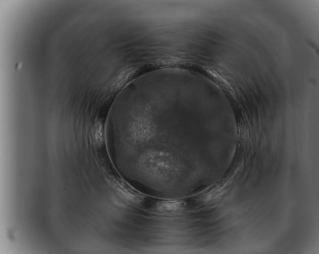 X0000091860479200709121333