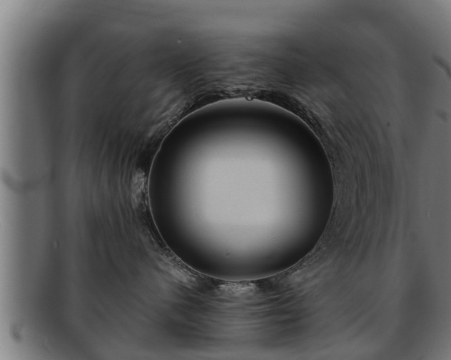 X0000091860480200709121333