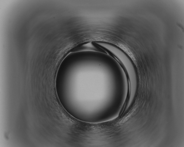 X0000091860481200709121333