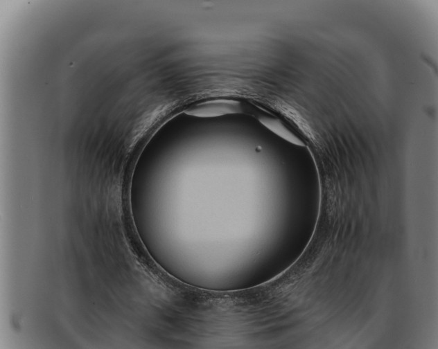 X0000091860482200709121332