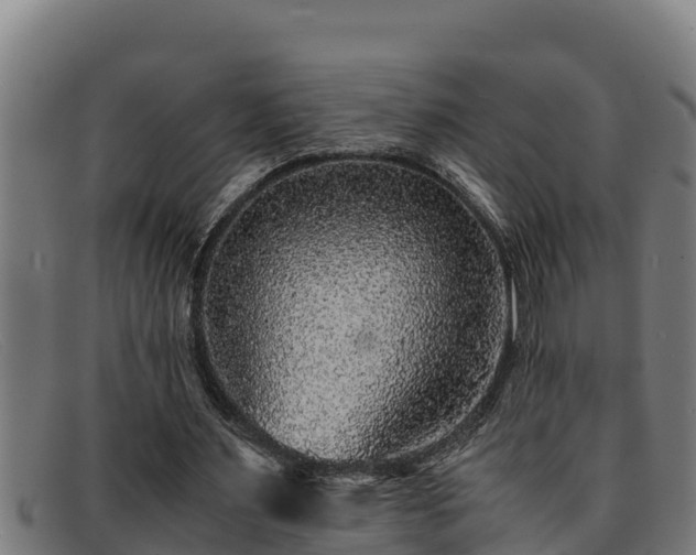 X0000091860483200709121332