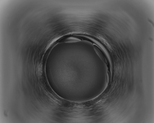 X0000091860484200709121332