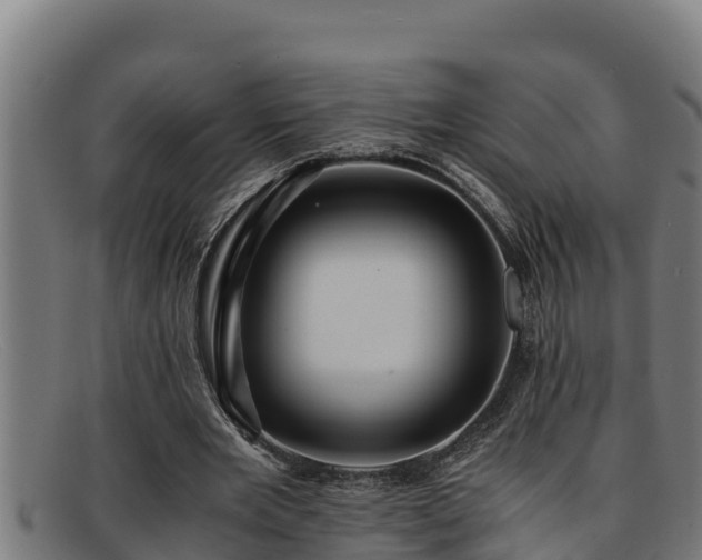 X0000091860485200709121332