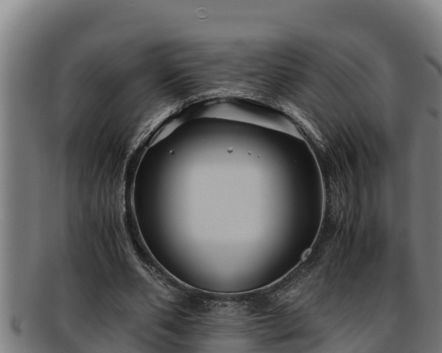 X0000091860486200709121332