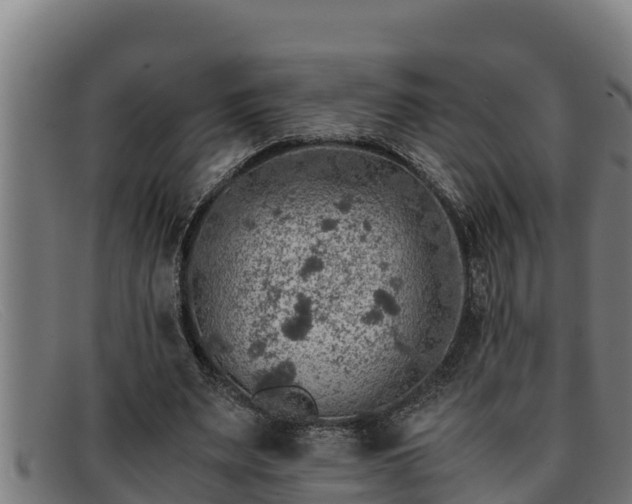 X0000091860487200709121332