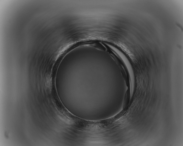 X0000091860488200709121332