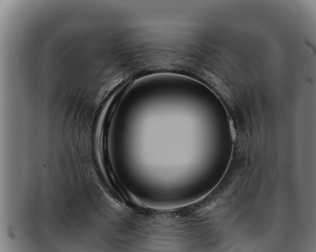 X0000091860489200709121332