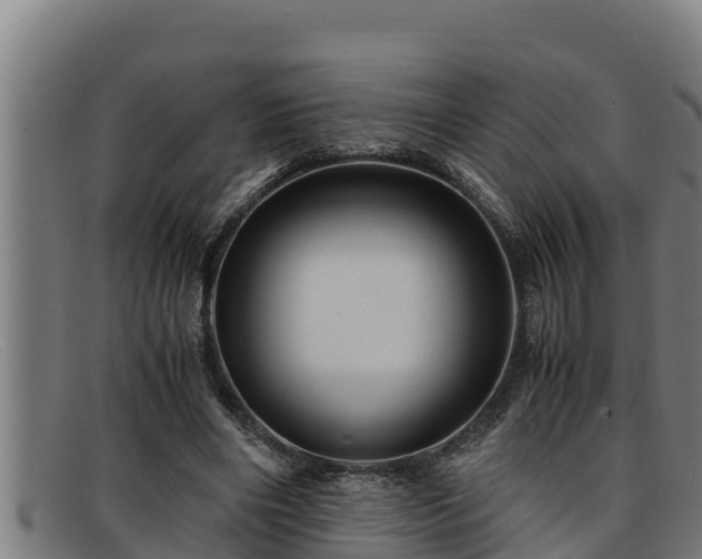 X0000091860490200709121332