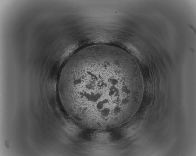 X0000091860491200709121332