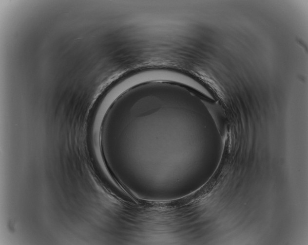 X0000091860492200709121332