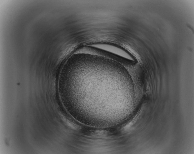 X0000091860493200709121332