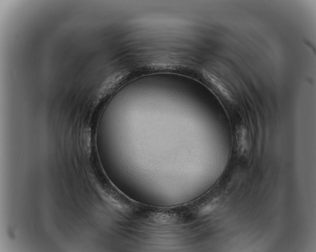 X0000091860494200709121332