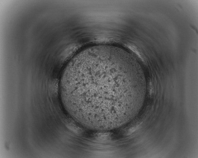 X0000091860495200709121332