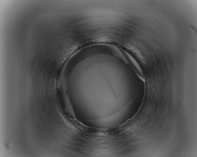 X0000091860496200709121332