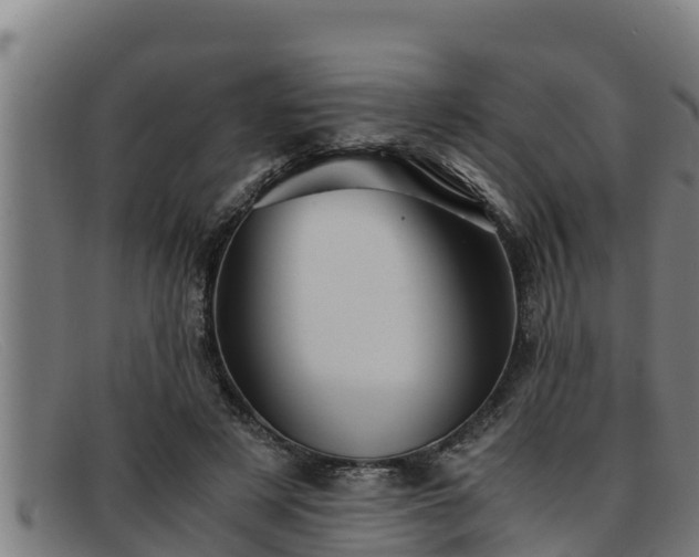 X0000091860497200709121332