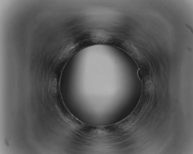 X0000091860498200709121332