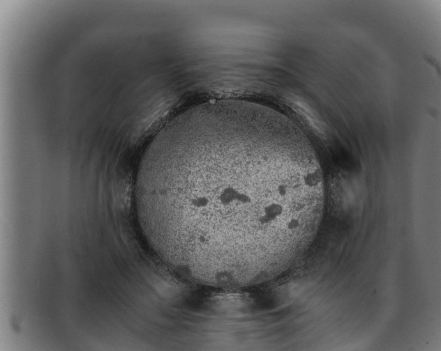 X0000091860499200709121332