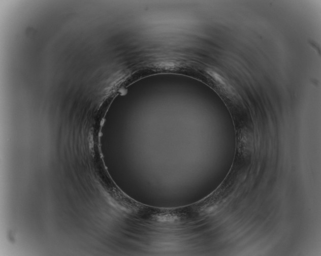 X0000091860500200709121332