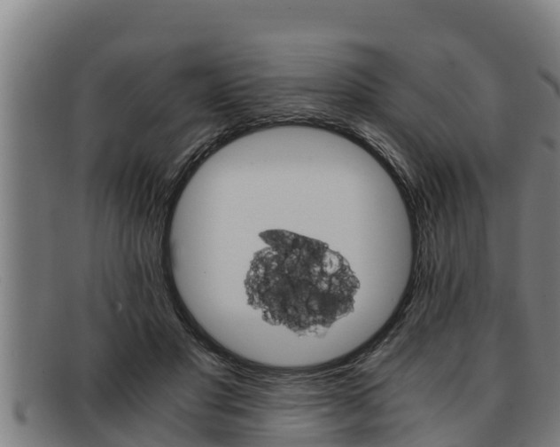 X0000091860501200709121332