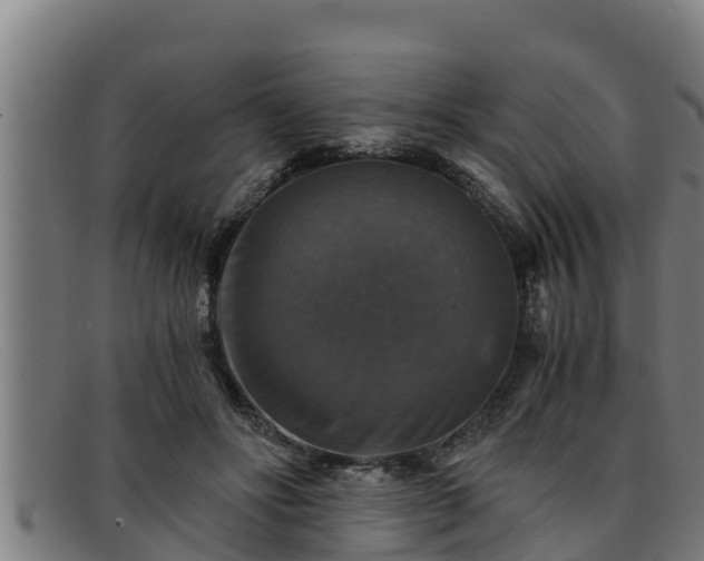 X0000091860502200709121332