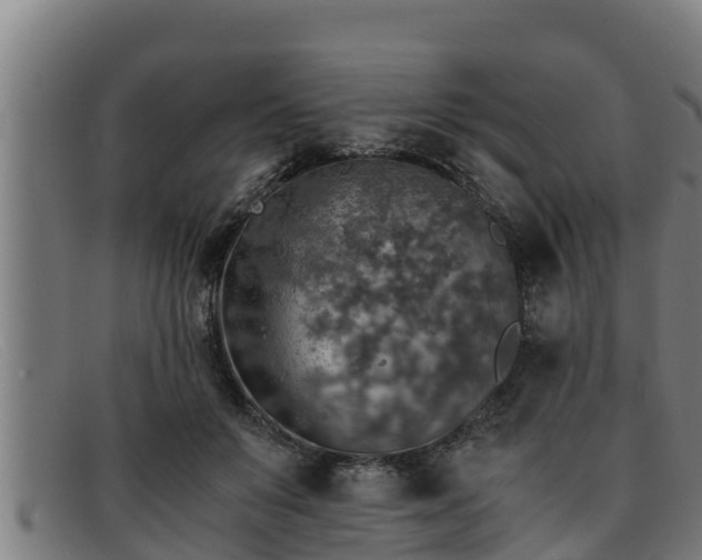 X0000091860503200709121332