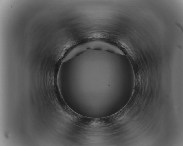 X0000091860504200709121332