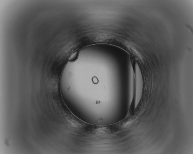 X0000091860505200709121332