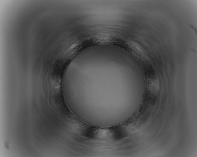 X0000091860507200709121332