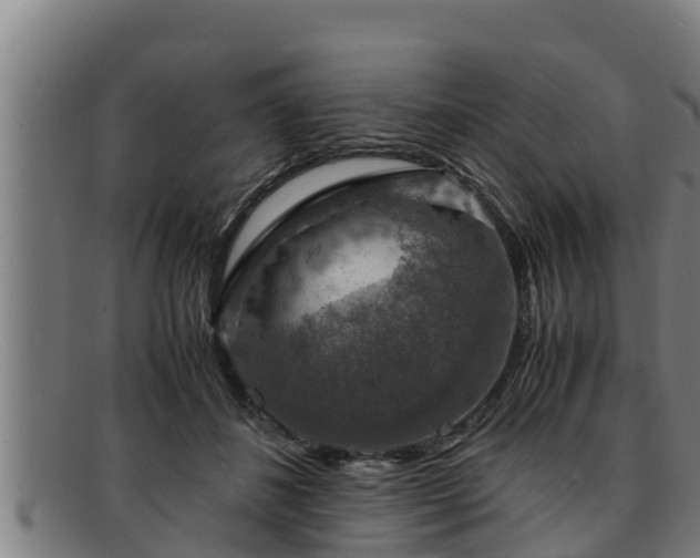 X0000091860508200709121332