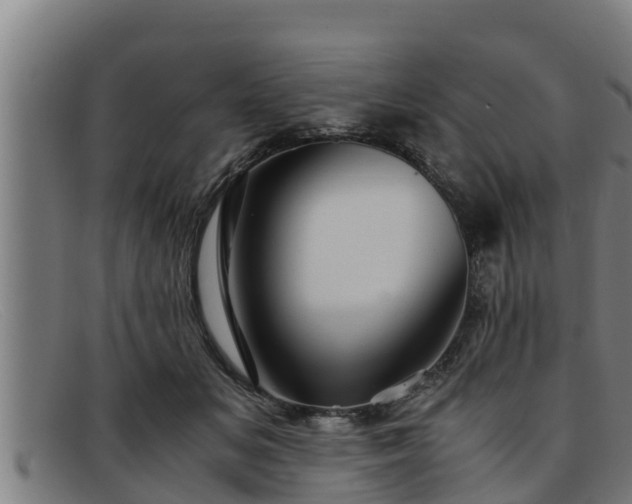 X0000091860509200709121332