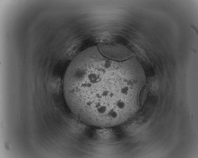 X0000091860511200709121332