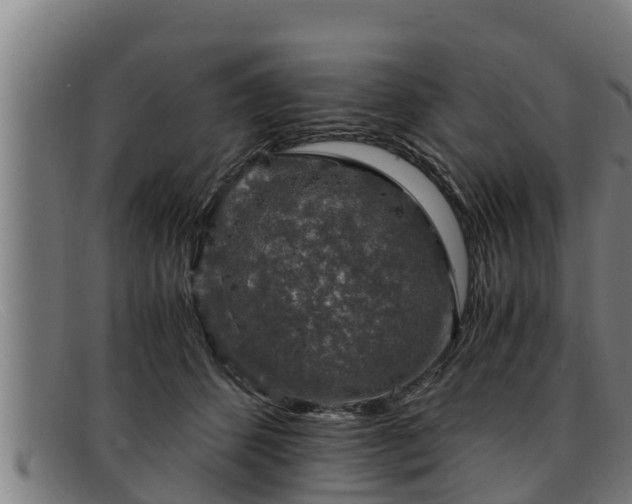 X0000091860512200709121332