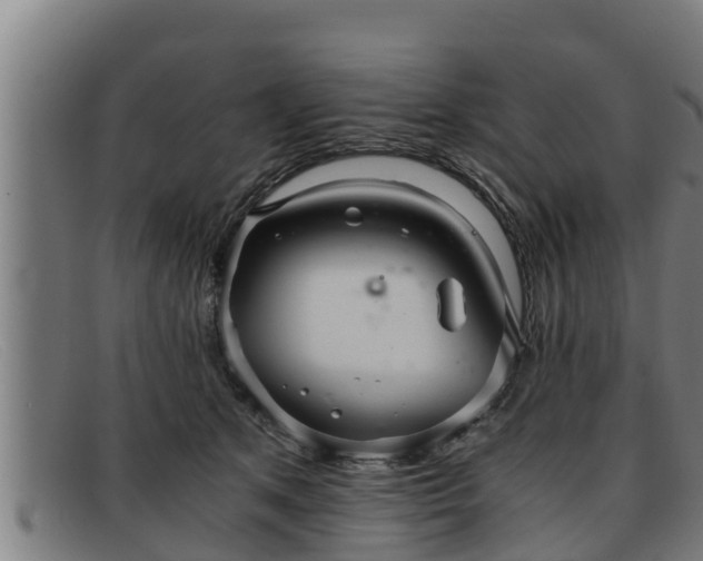 X0000091860513200709121332