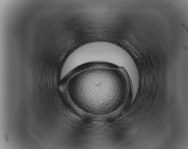 X0000091860516200709121332