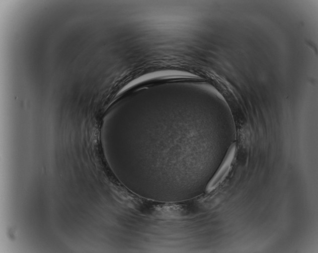 X0000091860517200709121332