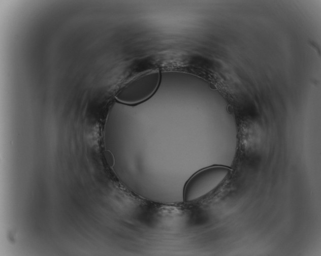 X0000091860519200709121332