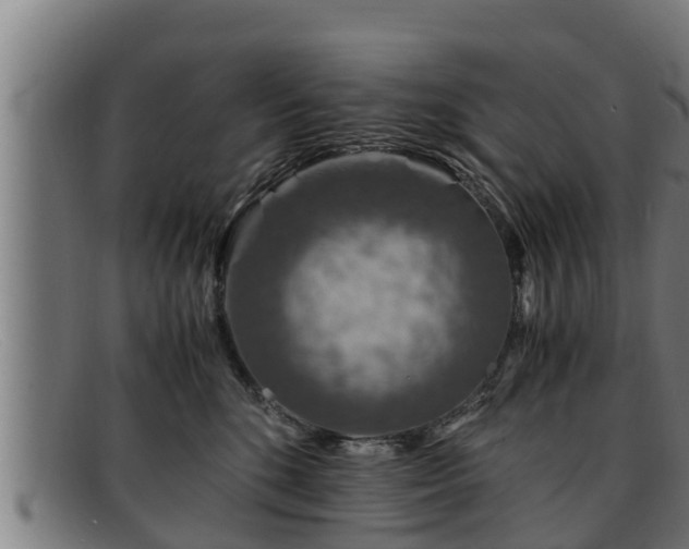 X0000091860520200709121332