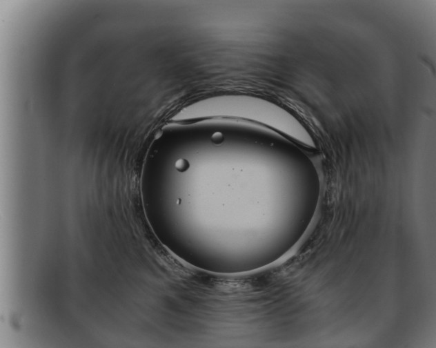 X0000091860521200709121332