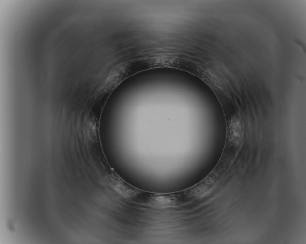 X0000091860522200709121332