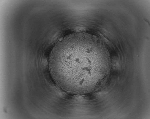 X0000091860523200709121332