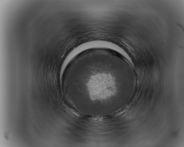 X0000091860524200709121332