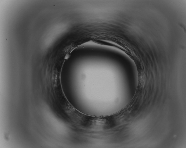 X0000091860525200709121332