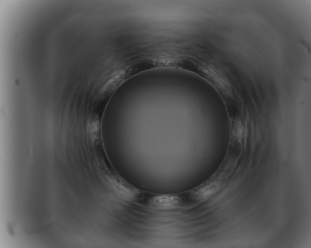 X0000091860526200709121332