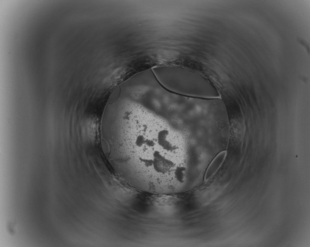 X0000091860527200709121332